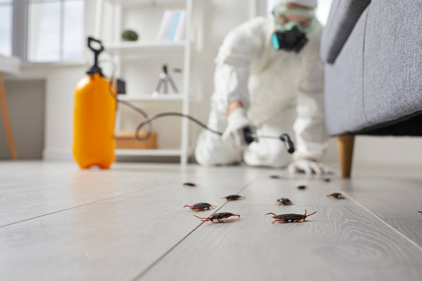Commercial Kitchen Cockroach Control in Gillette